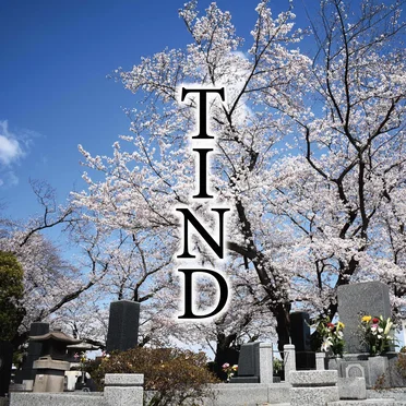 TIND