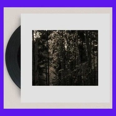 Icosahedrone by Francois Dillinger - album cover