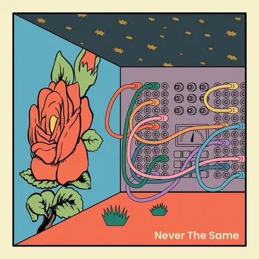 Never the Same