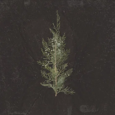 LOST/ABANDONED by Lilith - album cover