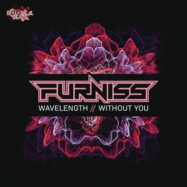 Wavelength / Without You