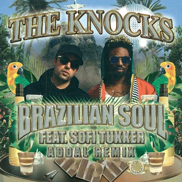 Brazilian Soul (Addal remix)
