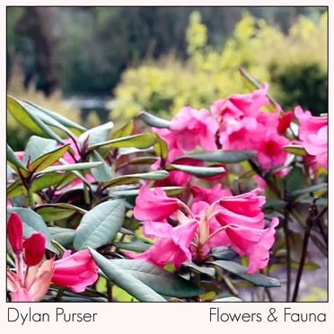 Flowers & Fauna