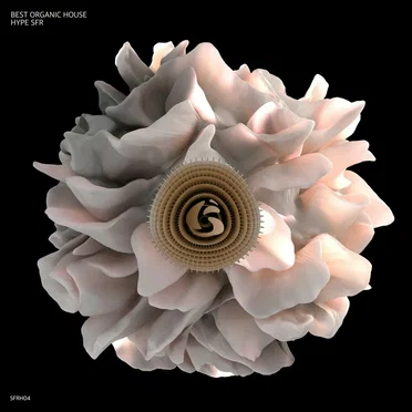 Best Organic House Hype SFR by Various Artists - album cover