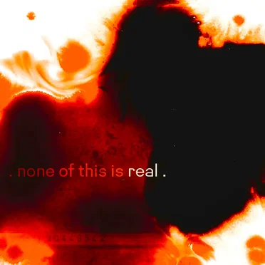 None of This Is Real