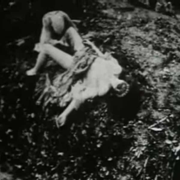 Begotten Chapter X