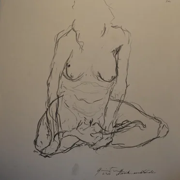 Sine Nomine Quod Serpserint