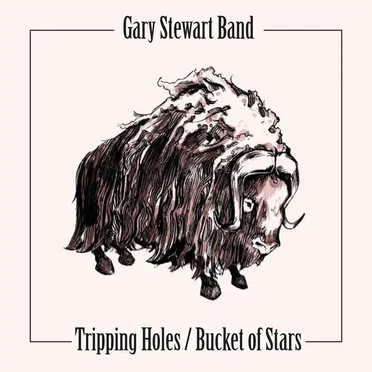 Tripping Holes by Gary Stewart Band - album cover
