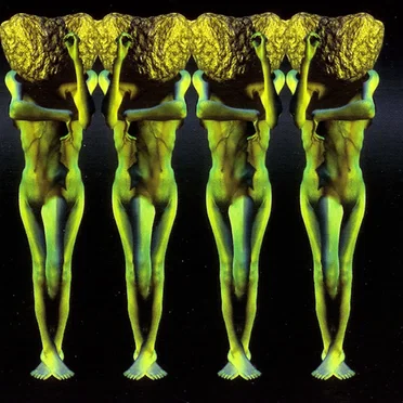 Animal Lover Instrumental