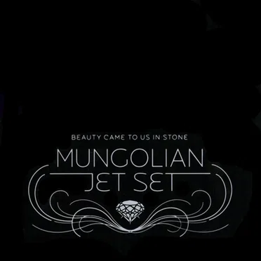 Beauty Came to Us in Stone by Mungolian Jet Set - album cover