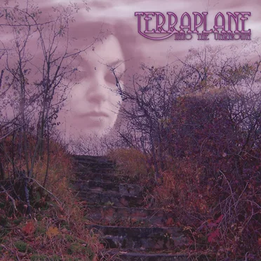 Into the Unknown by Terraplane - album cover