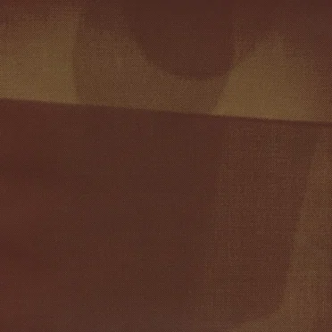 Shadow / Wolves