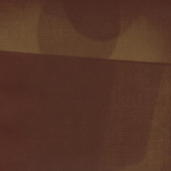 Shadow / Wolves