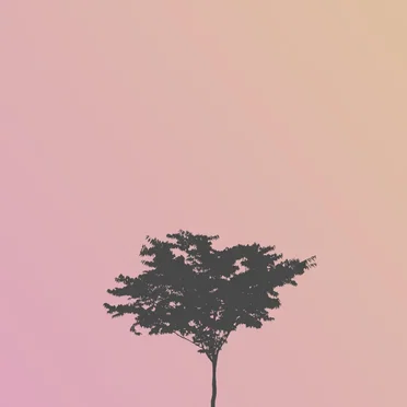 Where Has The Old You Gone