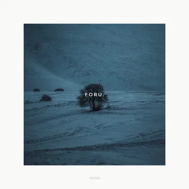 Foru. by INVISN - album cover
