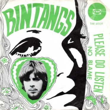 Please Do Listen / No Blame by Bintangs - album cover