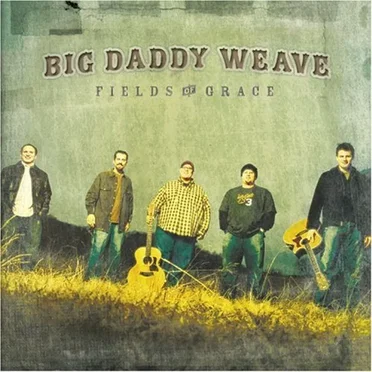 Fields of Grace by Big Daddy Weave - album cover