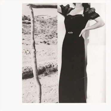 Valleys of the Young