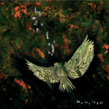 Voidkollapse / Tunnelvögel by Disorder of Deadeight - album cover