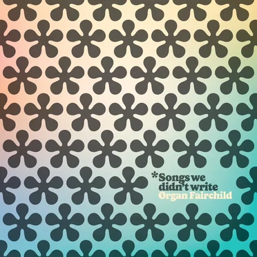 Songs We Didn't Write by Organ Fairchild - album cover