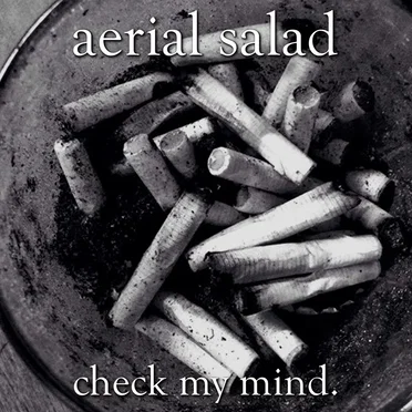 Check My Mind. by Aerial Salad - album cover