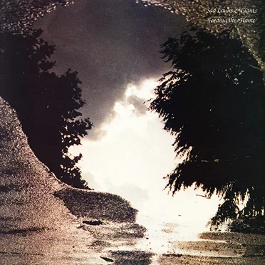 Feeding the Flame by Sad Lovers and Giants - album cover