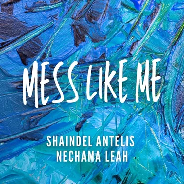 Mess Like Me by Shaindel Antelis - album cover