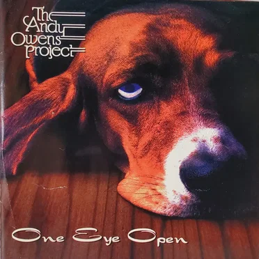 One Eye Open by The Andy Owens Project - album cover