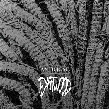 Antibiose by Eastwood - album cover
