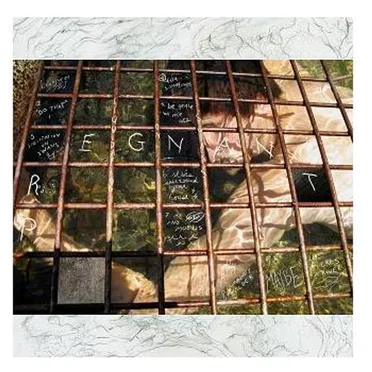 Liquidation on Swans by Pregnant - album cover
