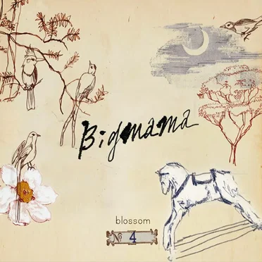 Blossom