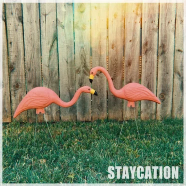 Staycation
