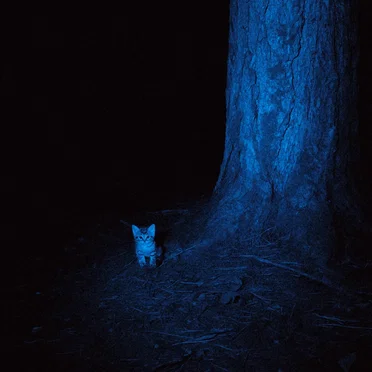 lonely