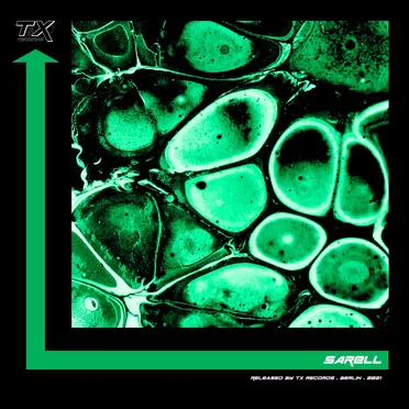 Have You Heard of Kallio? by SARELL - album cover