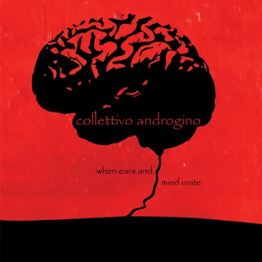 When Ears And Mind Unite by Collettivo Androgino - album cover