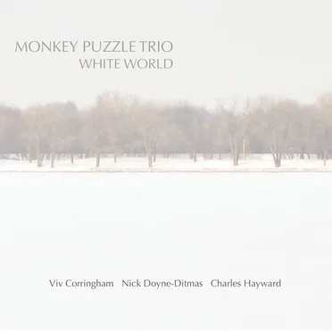 White World