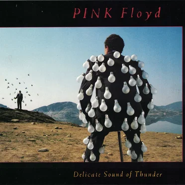 Delicate Sound of Thunder