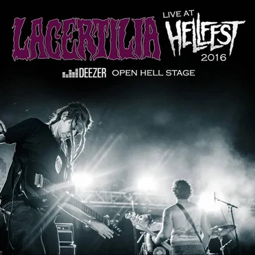 Live at Hellfest 2016
