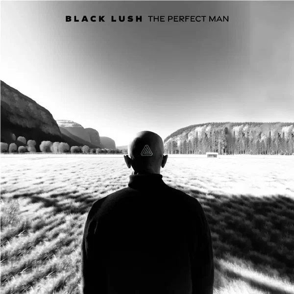 The Perfect Man