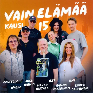 Vain Elämää: Kausi 15 by Various Artists - album cover