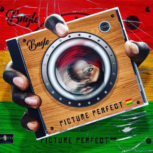 Picture Perfect