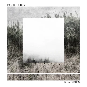 Reveries