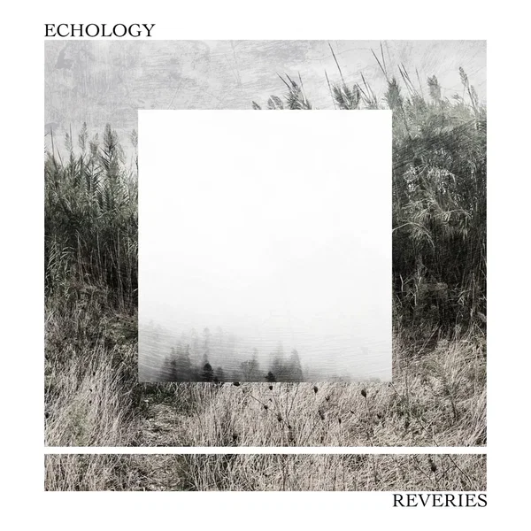Reveries