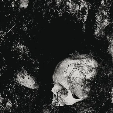 Decadence of Ego