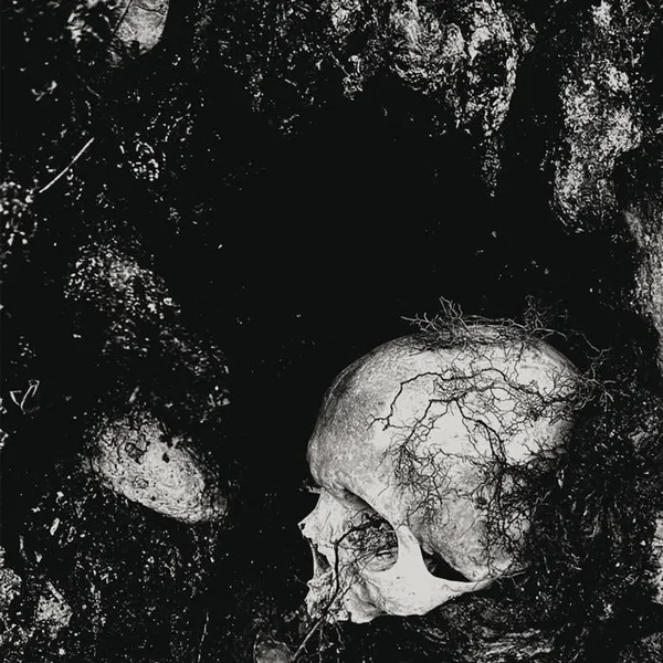 Decadence of Ego