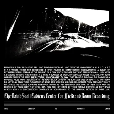 Beautiful Ignorant Glow by The David Scott Cadieux Center for Field and Room Recording - album cover