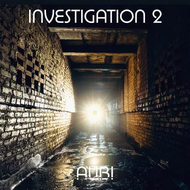Investigation, Vol. 2