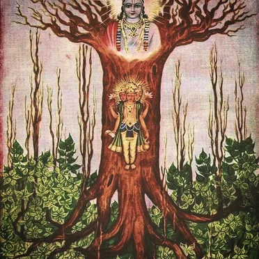 Enchanted Forest