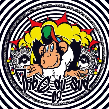 Tribe Du Sud 02 by Various Artists - album cover