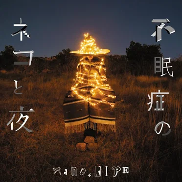不眠症のネコと夜